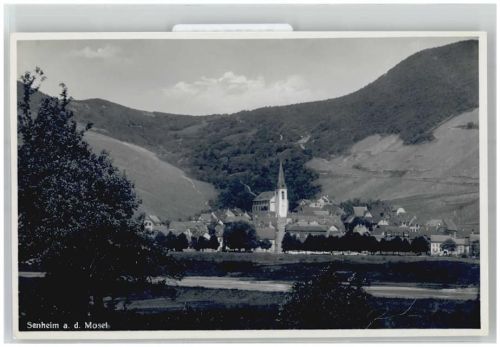 56820 W5594 Senheim
