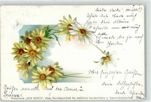 Warenhaus Zum Rebus Blumen