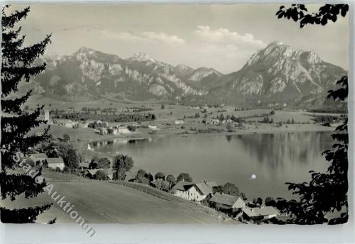 Hopfen