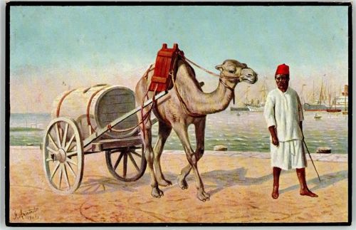 Somaliwasserwagen Kamel