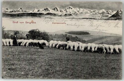 Ühlingen Berghaus Schafherde Alpenpanorama