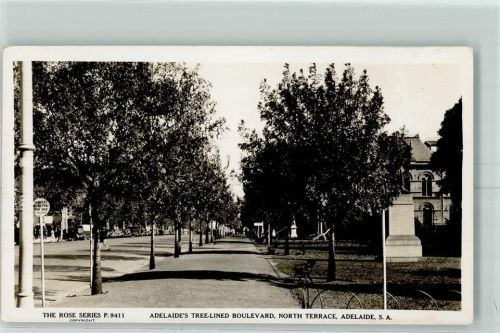 Adelaide Tree Lined Boulevard North Terrace The Rose Series P. 9411