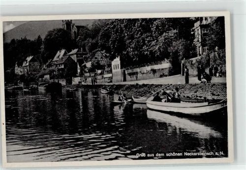 Neckarsteinach Boot Ufer