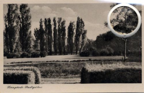 Harzgerode Harzgerode (o-4306) Leporello, Stadtgarten I-II