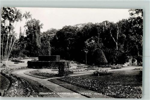 Peradeniya Peradeniya Gardens Ornamental Walk