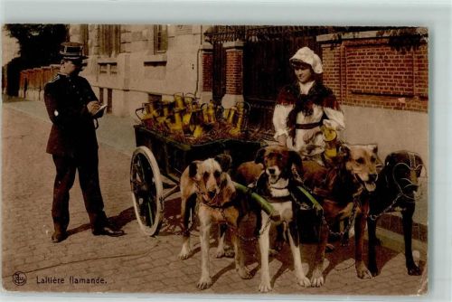 Verlag Ed. Nels Serie Laitiere flamande Nr. 8 Polizei AK Hundekarren