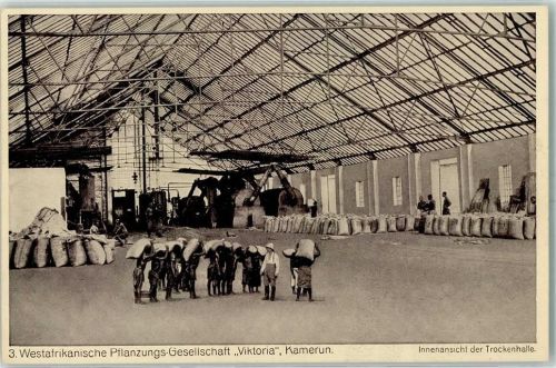 Westafrikanische Pflanzungs-Gesellschaft Voktoria Kamerun - Trockenhalle