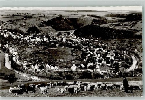 Wildberg
