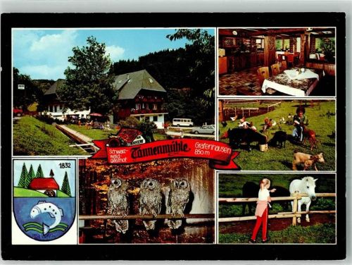 79865 W7821 Grafenhausen , Hochschwarzw - Gasthaus Tannenmühle Eulen