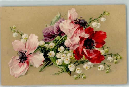 Klatschmohn
