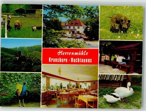 61250 W6390 Kransberg , Taunus - Herrenmühle Gasthaus Cafe