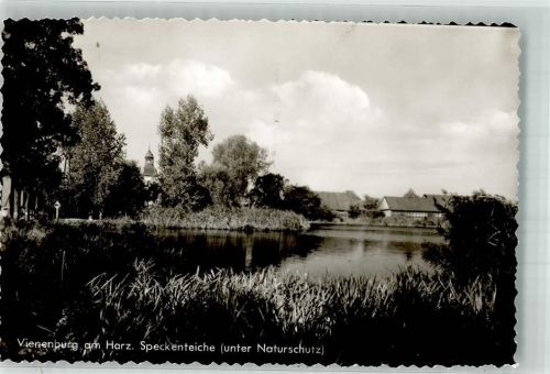 Vienenburg Naturschutzgebiet Speckenteiche