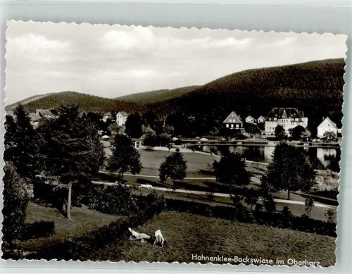 Hahnenklee-Bockswiese Panorama des Ortes mit Kranicher Teich