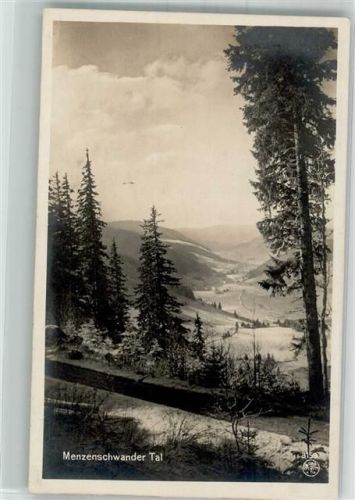 Menzenschwand 1924 Menzenschwander Tal