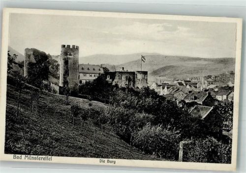 Bad Münstereifel Burg Münstereifel über den Dächern der Alstadt