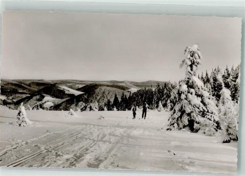 Willingen Winter Blick vom Ettelsberg Skiwanderer