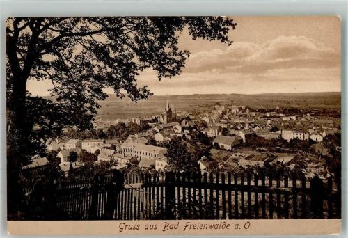 Bad Freienwalde Panorama des Ortes mit Stadtpfarrkirche St. Nikolai