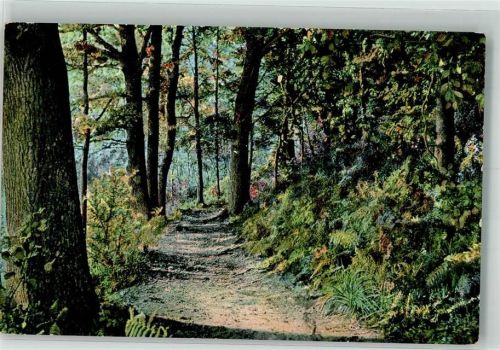 Fallingbostel Die Lieth