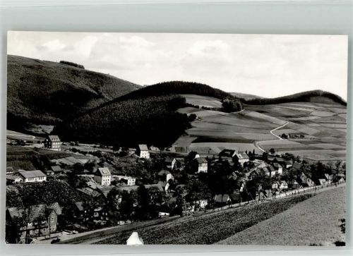 Schwalenberg beschnitte Foto AK