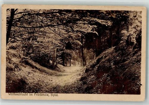 Syke Wolfsschlucht im Friedholz Loch