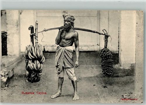 Träger Ceylon