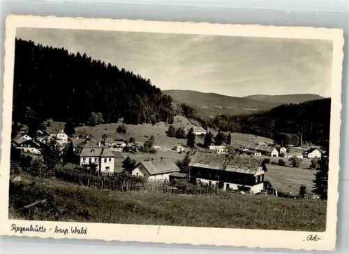 Regenhütte Panorama des Ortes