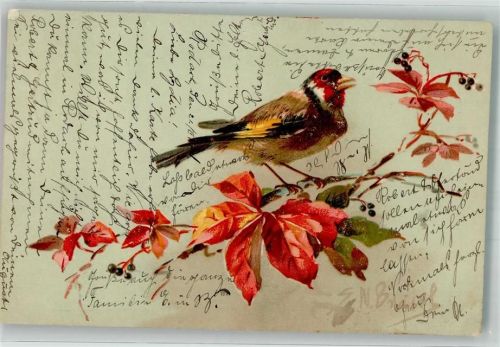 1904 Vogel auf einem Blütenzweig Künstlerkarte
