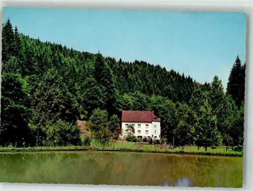 56593 W5453 Horhausen Westerwald Foto AK Hotel Pension Cafe Grenzbachmühle