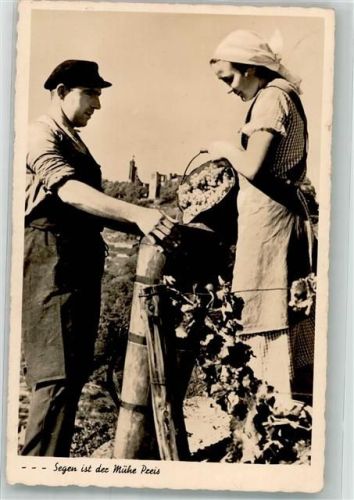Winzerpaar bei der Weinlese