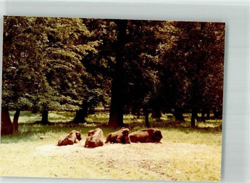 Springe Wisentgehege Saupark Ort handschriftlich