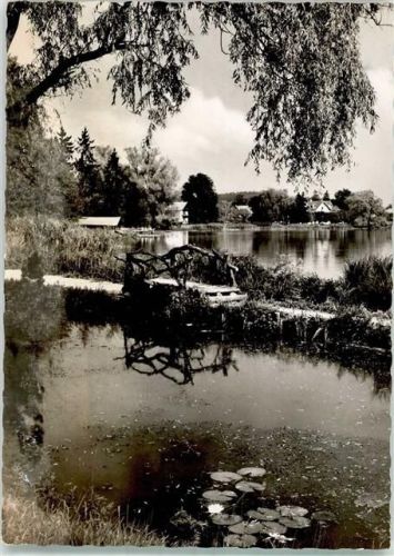 Weßling Seepromenade Seerosen Fotograf Zannantonio