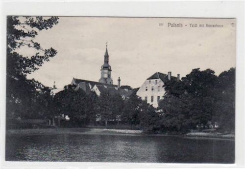 Pulsnitz Pulsnitz mit Teich und Herrenhaus ungelaufen Gute Erhaltung.