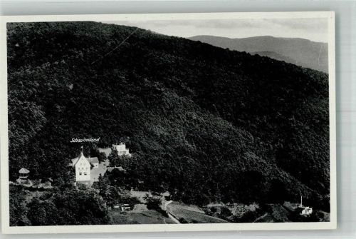 Schriesheim Fliegeraufnahme Gasthaus Schauinsland