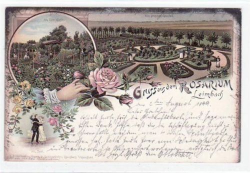Lithographie Gruß aus dem Rosarium in Leimbach. Partie im grossen Rondel, im Rosenhain und im Saal gelaufen von 1899, Marke entfernt kleiner Knick oben links, Oxydationsspuren an den Rändern, sonst gut erhalten.