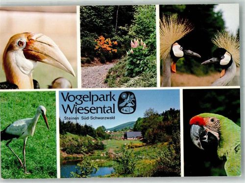 Steinen Vogelpark Wiesental Störche Papagei Kranich