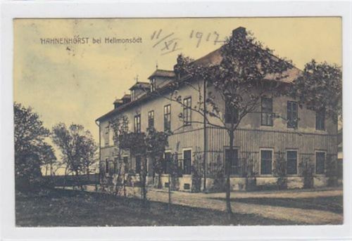 AK von Hahnenhorst bei Hellmonsödt gelaufen am 02.11.1917. Leichte Stempelspuren, leicht fleckig, sonst gut erhalten. PLZ 4202.