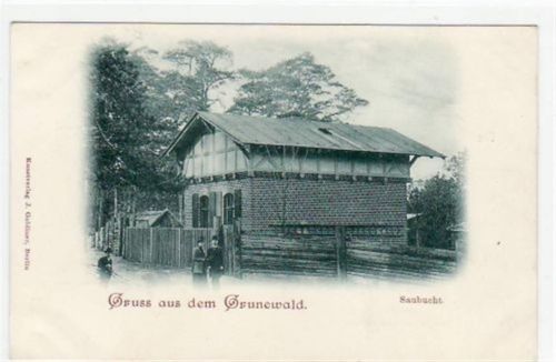 Berlin Wilmersdorf, Grunewald mit Saubucht. ungelaufen frühe Karte, da Anschriftseite noch ungeteilt. Gute Erhaltung.