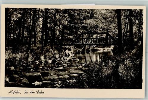Alfeld In den Erlen Waldbach Holzbrücke