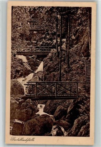 Bühlertal Gertelbach Wasserfälle