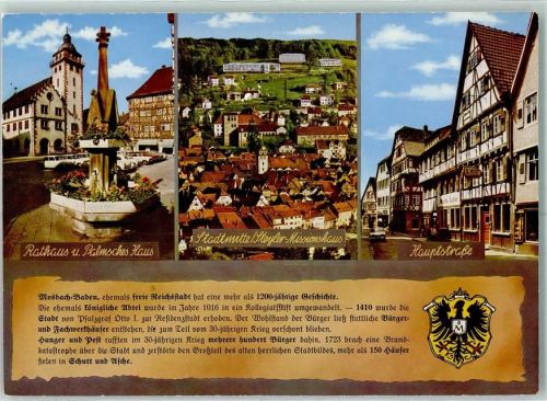 Mosbach Rathaus Palmsches Haus Steyler - Missionshaus Hauptstraße Chronik