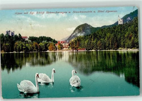 Schwangau 1919 Alpsee mit Kgl. Scholss Hohenschwangau und Neuschwanstein u. Hotel Alpenrose Schwäne