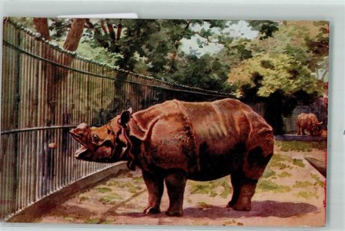 London Rhinozeros Zoo AK