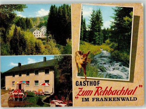 Grafengehaig Gasthaus zum Rehbachtal Garten Rehkitz Waldbach