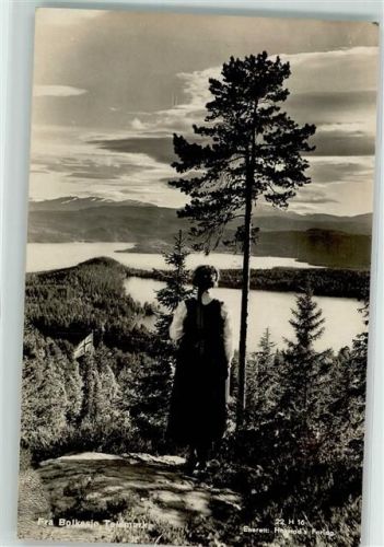 Fra Bolkesjo Telemark Tracht Fahne