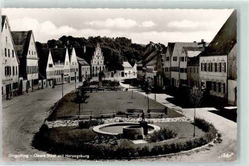Dingolfing Obere Stadt mit Herzogsburg