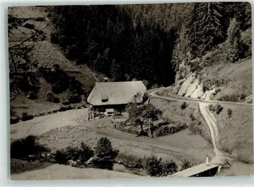 Elzach Wiesengrund im hinteren Prechtal