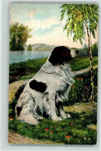 1908 Epagneul Francais Serie 1014