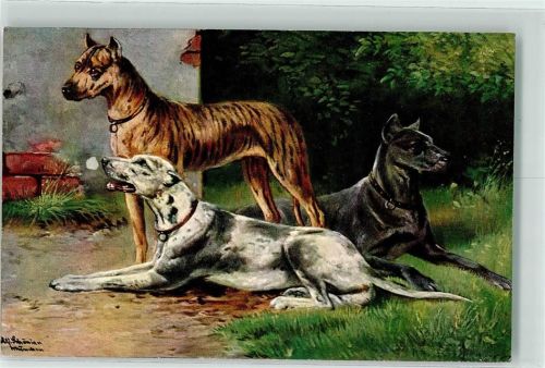 Greyhound T.S.N. Serie 587 Nr. 6
