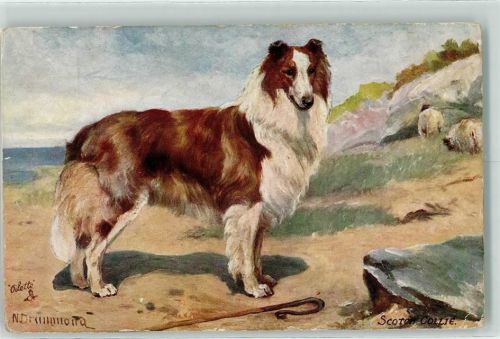 Tuck`s Oilette Scotch Collies No. 9560 sign. N. Drunmona