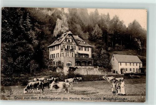 91235 W8564 Rupprechtstegen - Erholungsheim Martha Maria Verein Kühe
